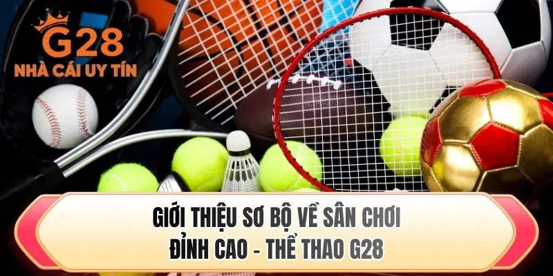 Giới thiệu sơ bộ về sân chơi đỉnh cao - Thể thao G28